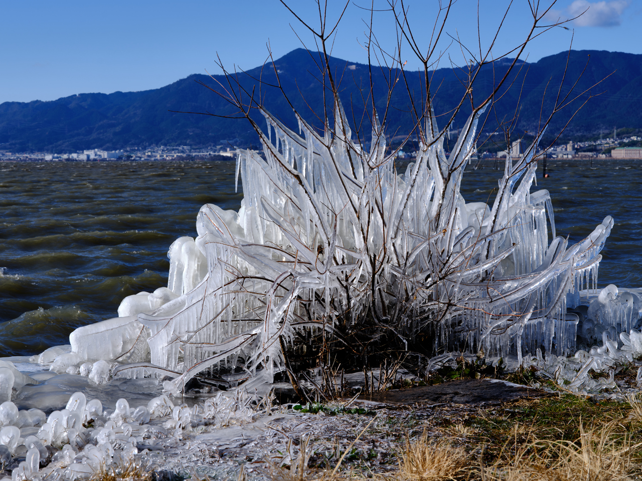 ���s�̖���